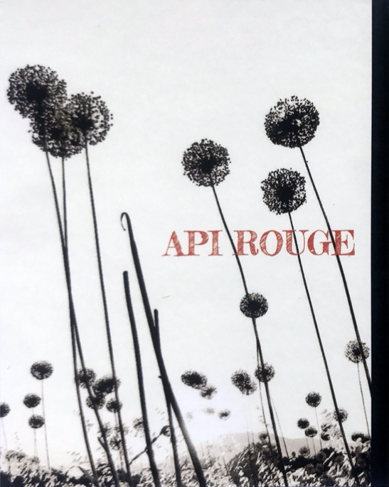 Api Rouge 2021